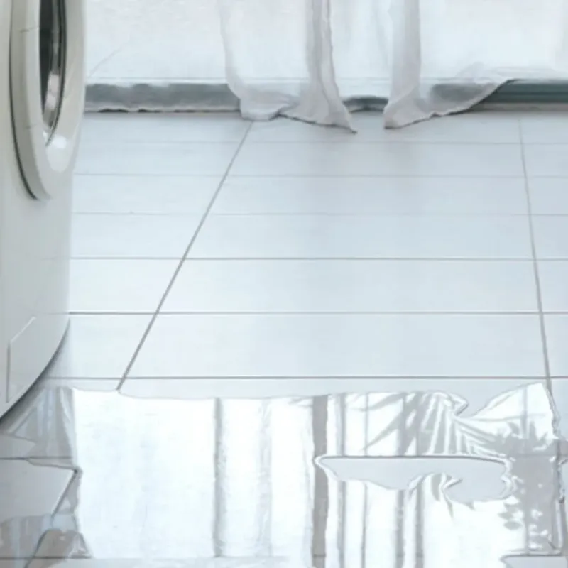 Appliance Leak Cleanup in Leitchfield, KY