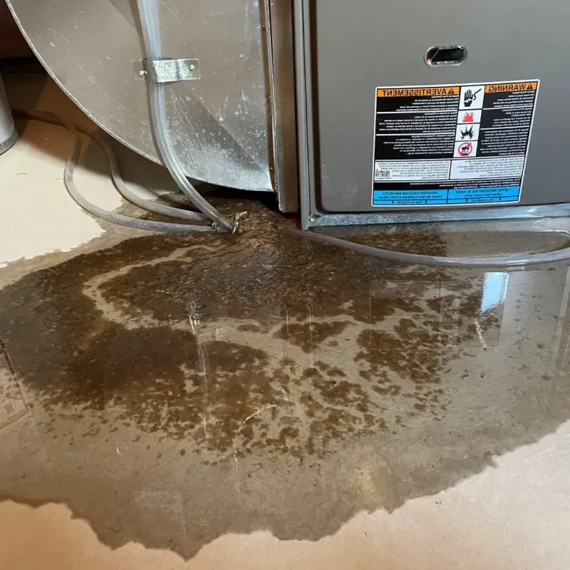 Pipe Burst and Leak Restoration in Leitchfield, KY