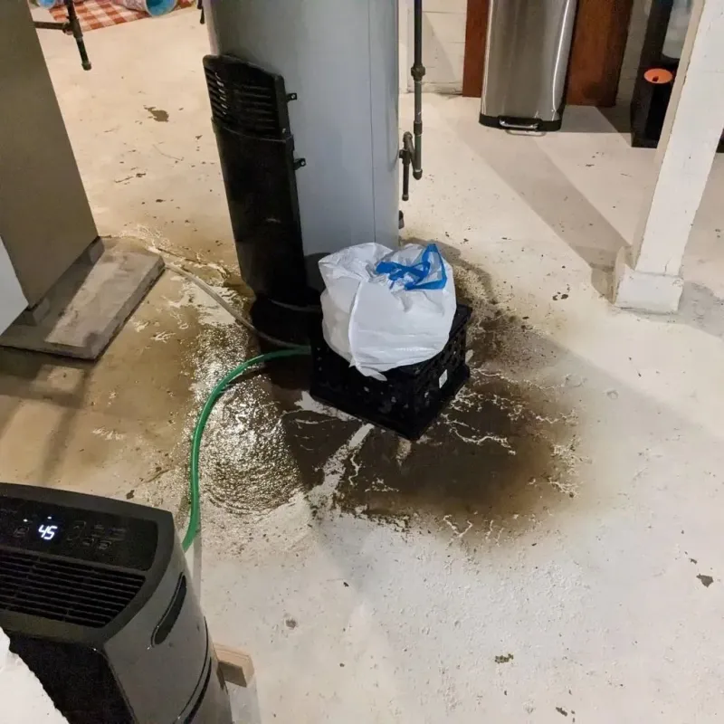 Sewage Backup Cleanup Service in Leitchfield, KY